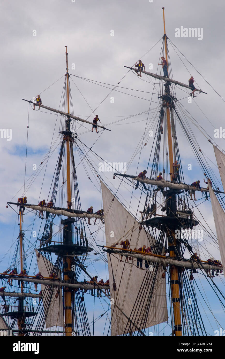 Ship s crew aloft in the rigging of a square rigged ship under sail