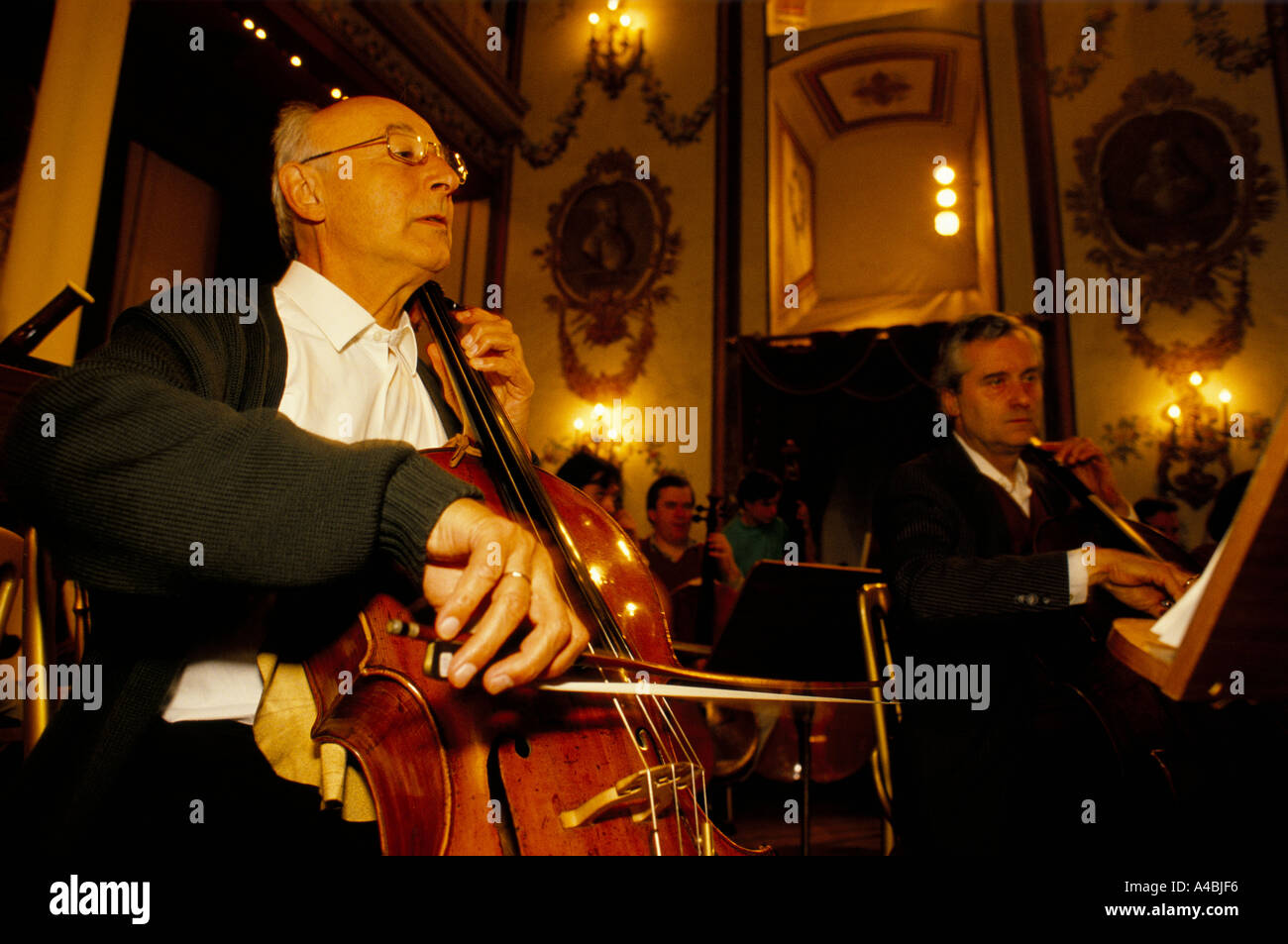 man playing cello austro hungarian haydn orchestra in rehearsal at esterhazy palace in