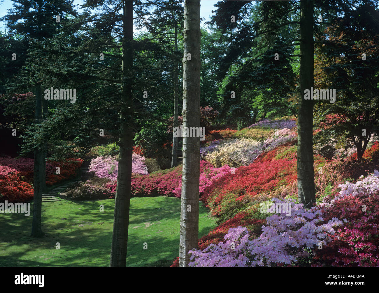 The Punch Bowl Saville Gardens Windsor Great Park Berkshire May Stock