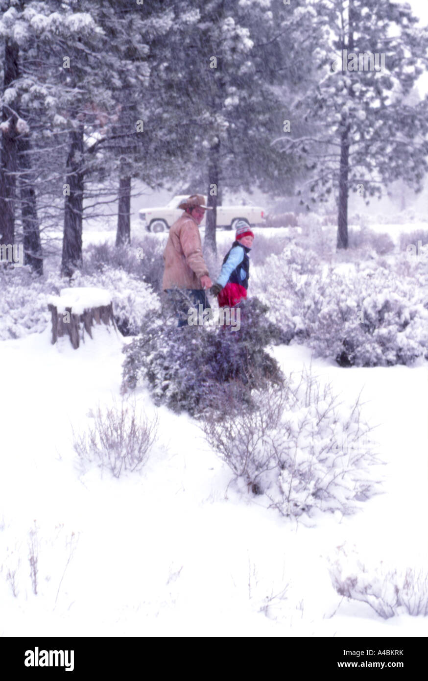 30,651.26100 Father & Son gathering a Christmas tree in the middle of a snowfall snowstorm, as a blanket of snow covers the ground and trees Stock Photo