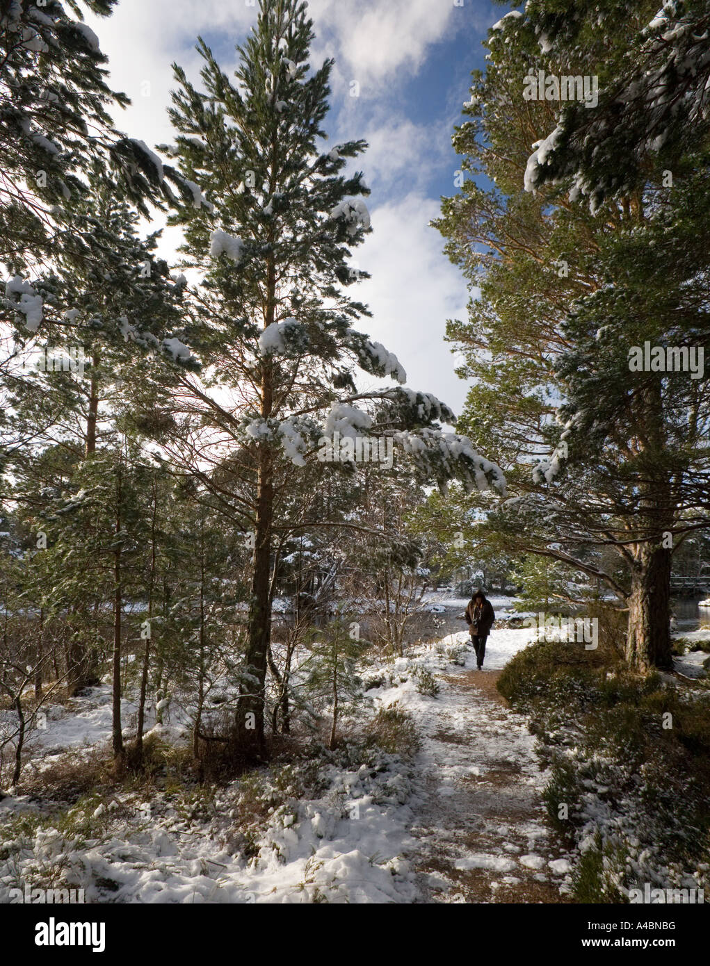 Walker in a snow covered valley in the Cairngorm Mountains in Central Scotland. UK Stock Photo