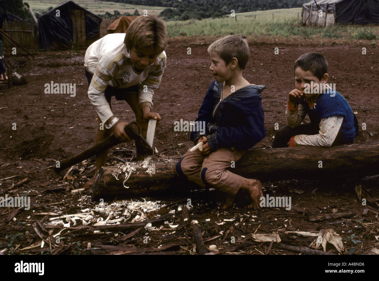 Boys chopping wood at the new land invasion Verdun Parana province Brazil Stock Photo