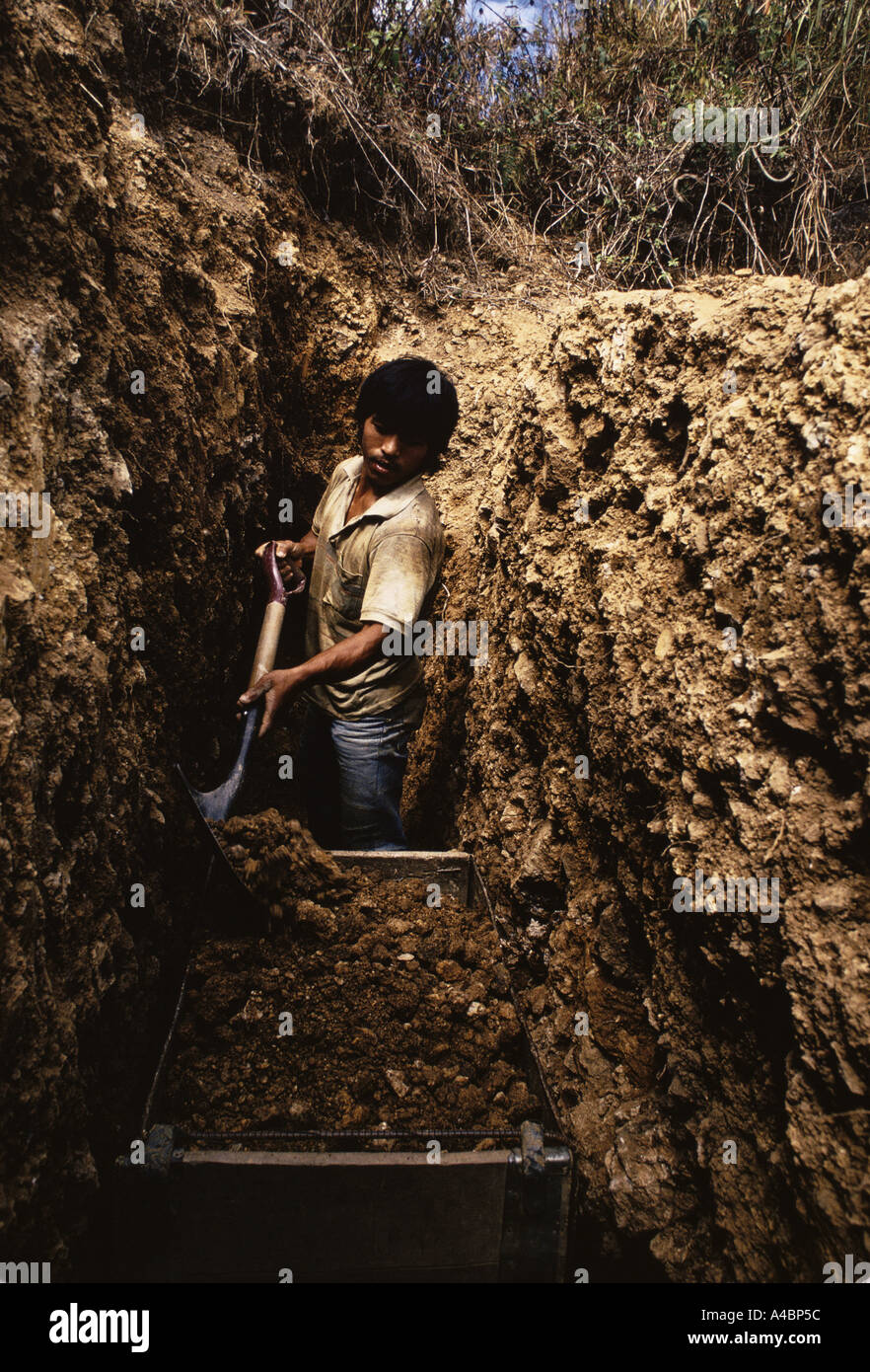 Mines Bomb Online – How Spribe’s Design Changes Everything