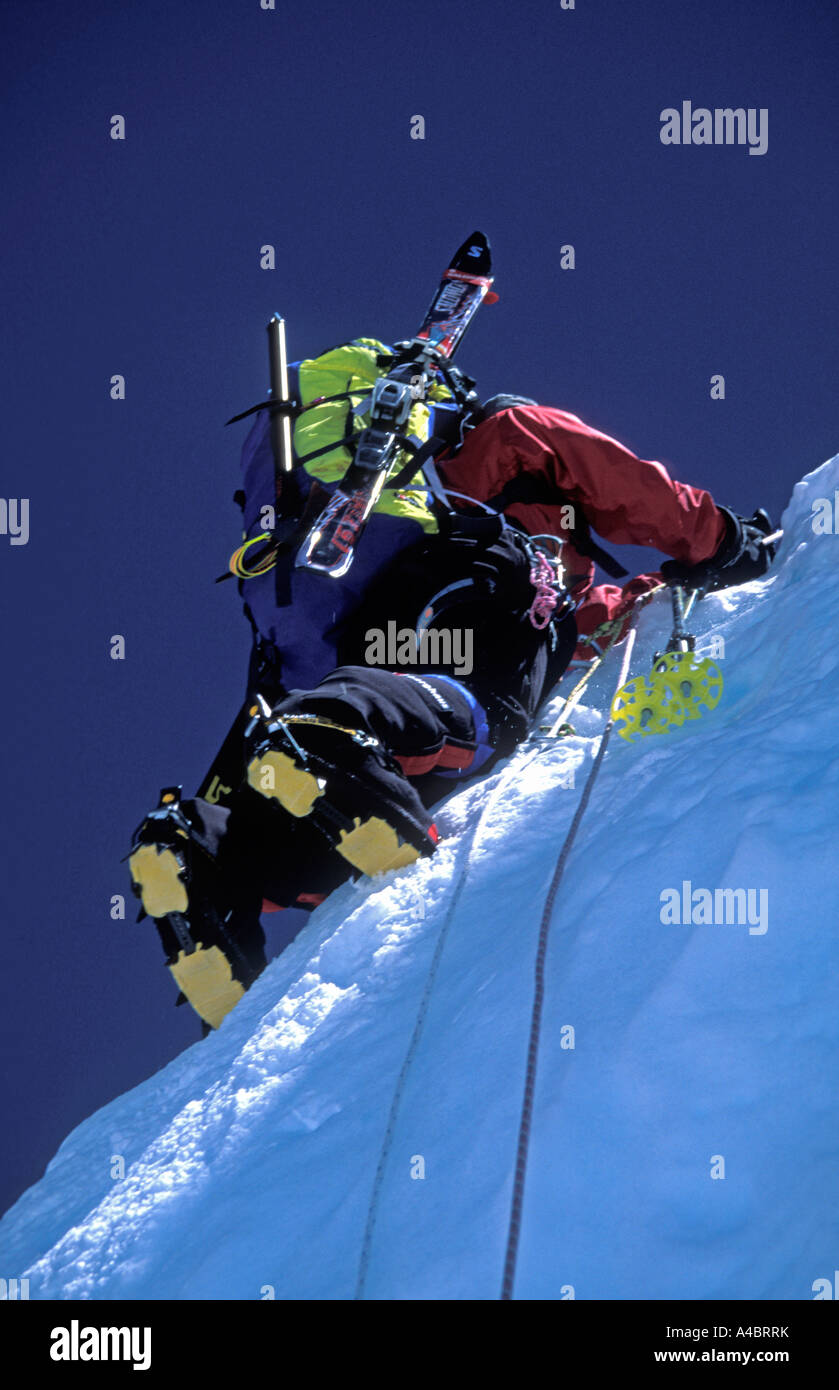Ski touring climbing up a vertical snow bank showing ropes and skis Stock Photo