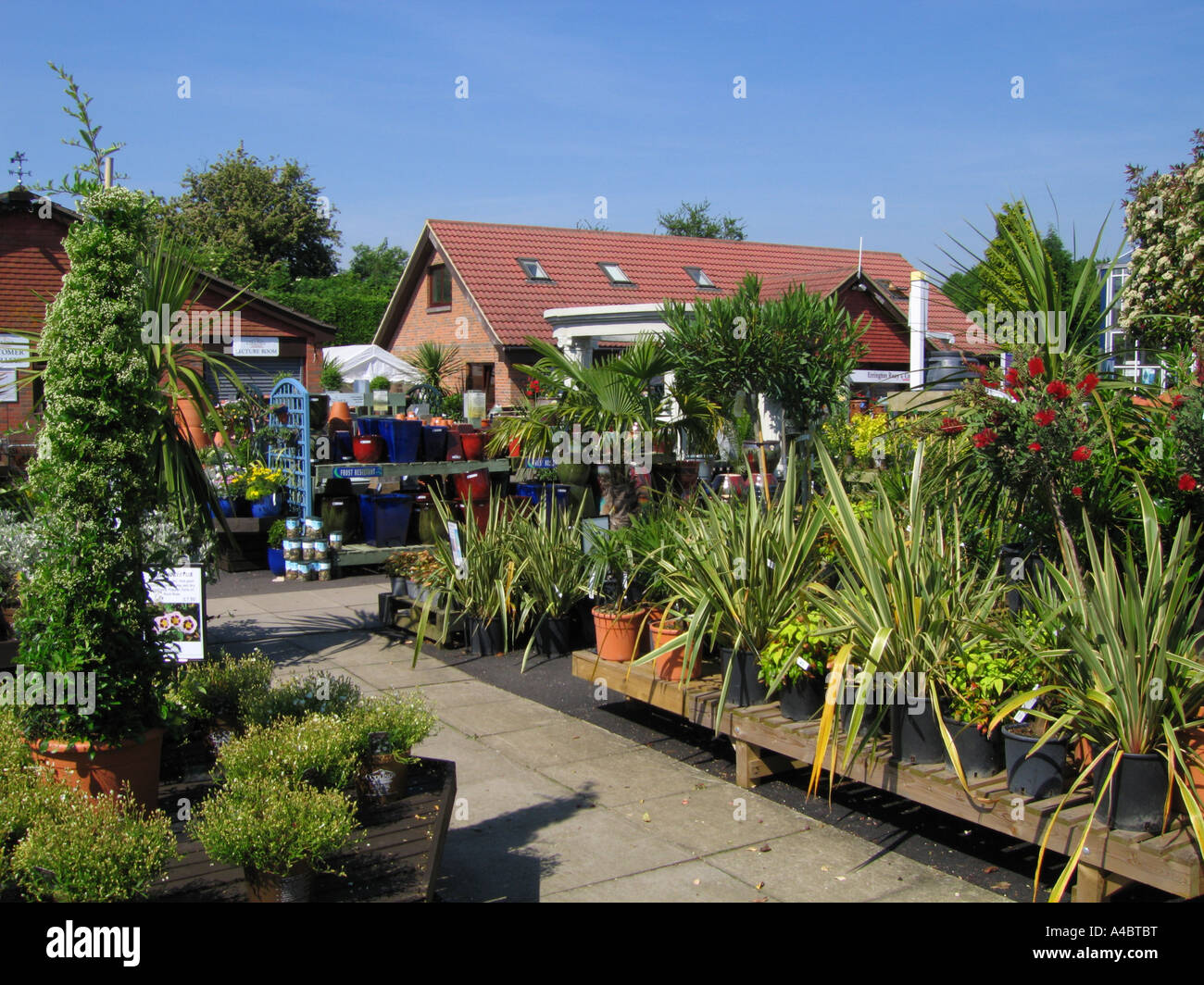 Perennial plants displayed outdoors at a garden centre Stock Photo Alamy