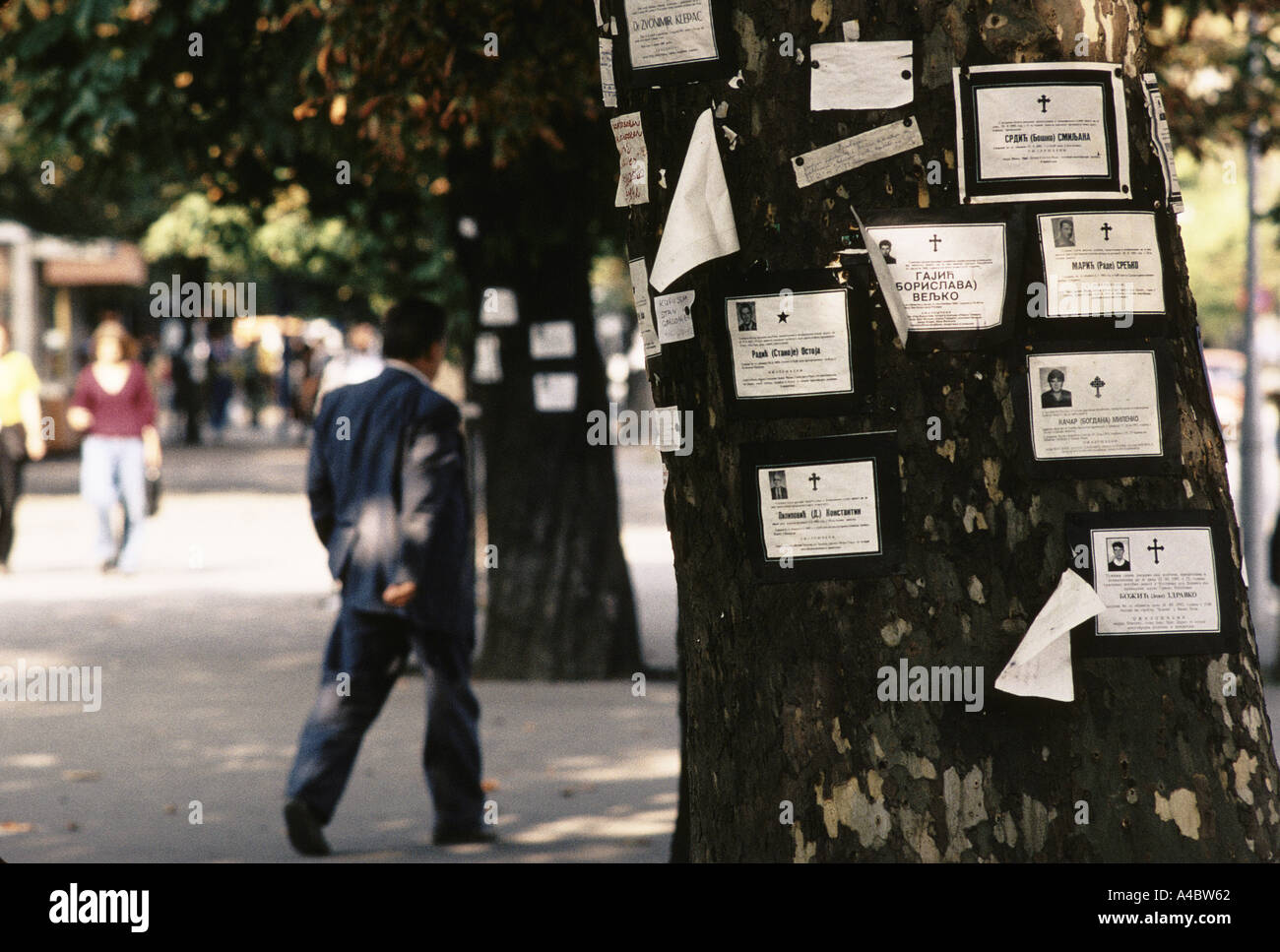 Death notices of those killed in the on-going civil war are pinned to trees on the main street in Banja Luka,  September 1992 Stock Photo