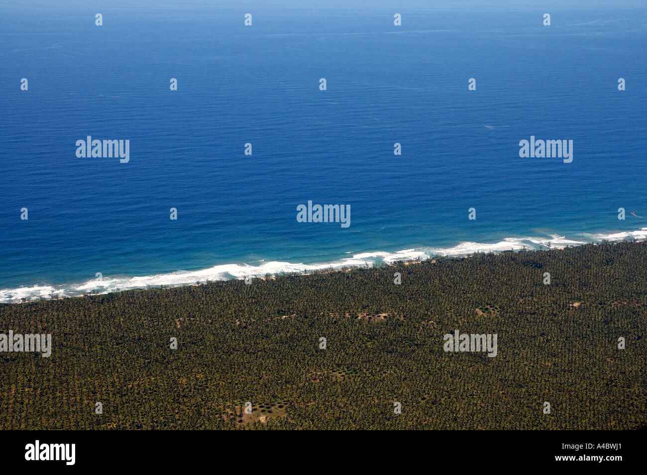 Vast coconut plantations along the coast south of Sambava northeastern Madagascar Stock Photo