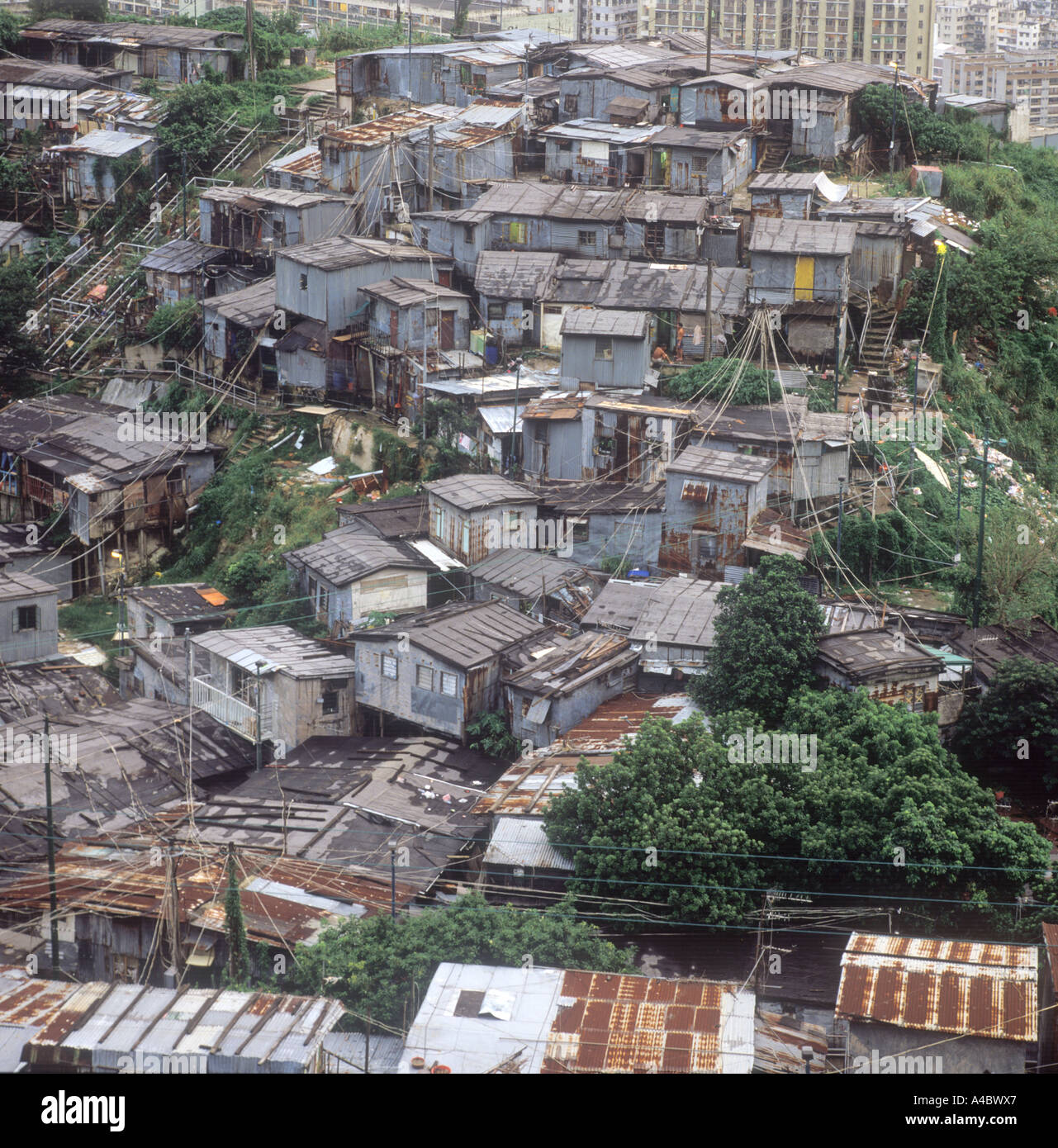 Slums And Squatters