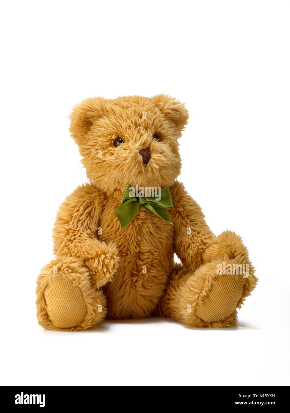 teddy bear Stock Photo