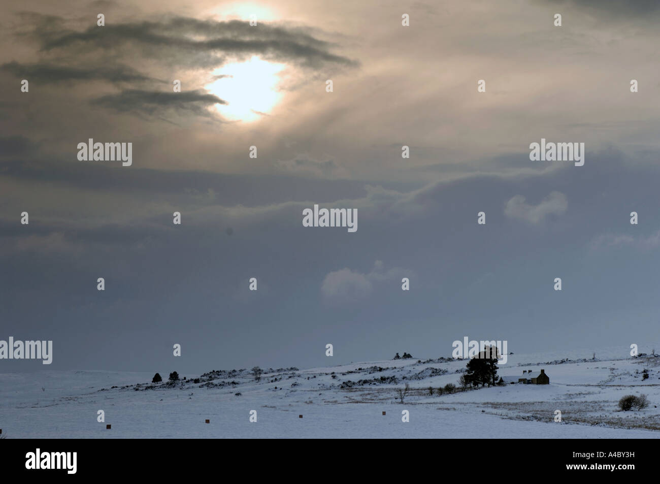 Winter Scenery on the Dava Moor Grantown on Spey Moray-shire. XPL 4688-440 Stock Photo