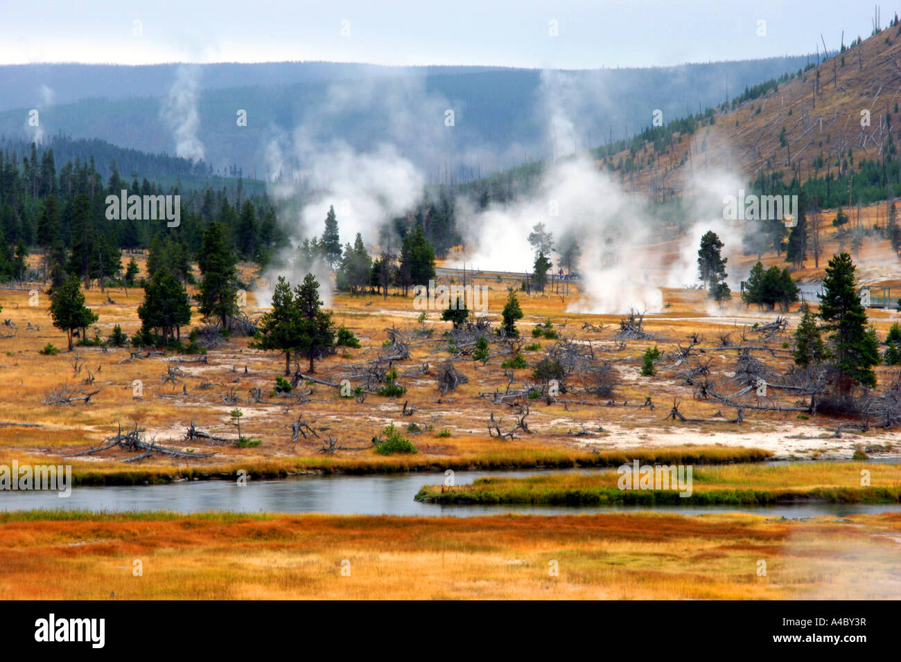 black sand geyser basin, yellowstone national park, wyoming Stock Photo ...