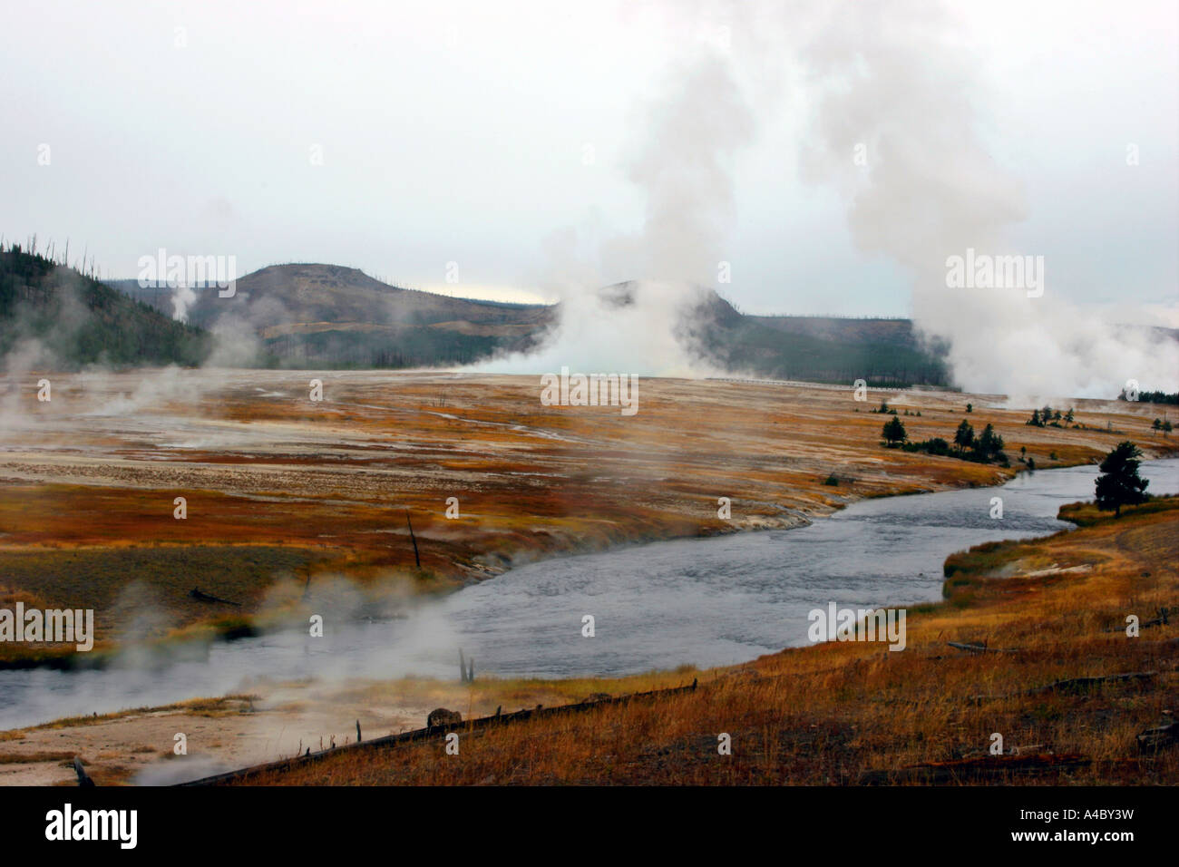 black sand geyser basin, yellowstone national park, wyoming Stock Photo ...