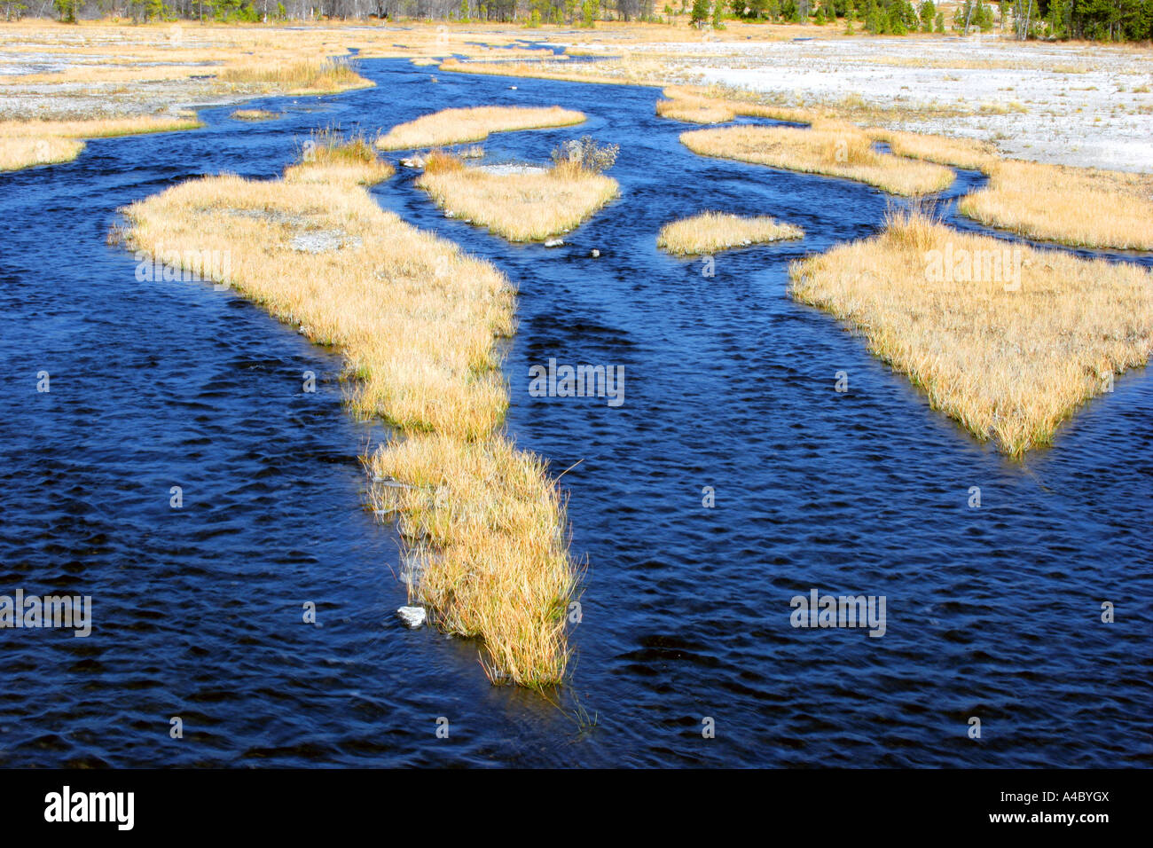 tangled creek, yellowstone national park, wyoming Stock Photo