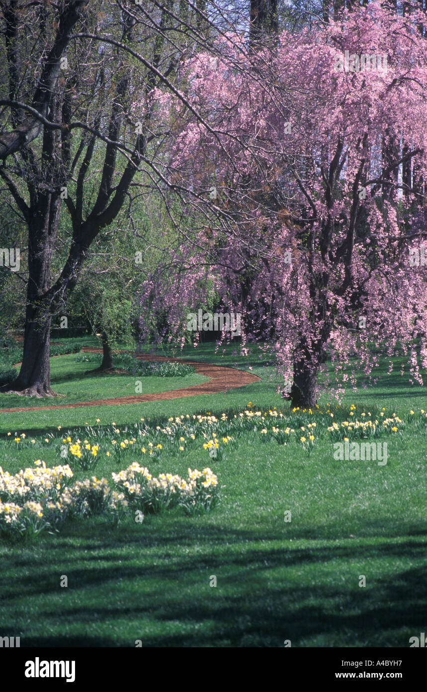 Longwood Gardens In Spring With Path, Pretty Spring Scene, Kennett Square PA USA Stock Photo