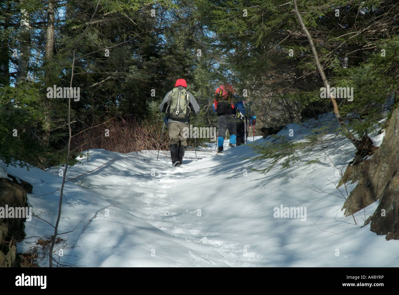 Mount Tom State Reservation Holyoke Massachusetts USA