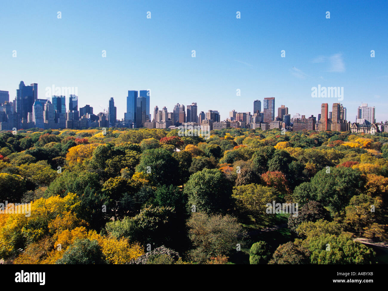 New York City Aerial view of Central Park landscape in autumn with ...