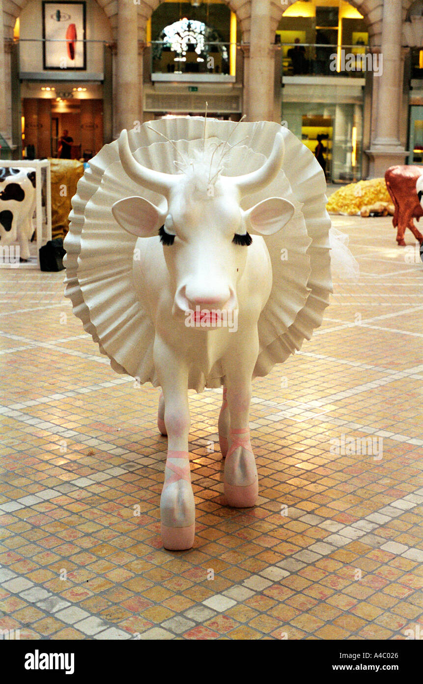 Cow with frilly skirt and make up from front Stock Photo Alamy