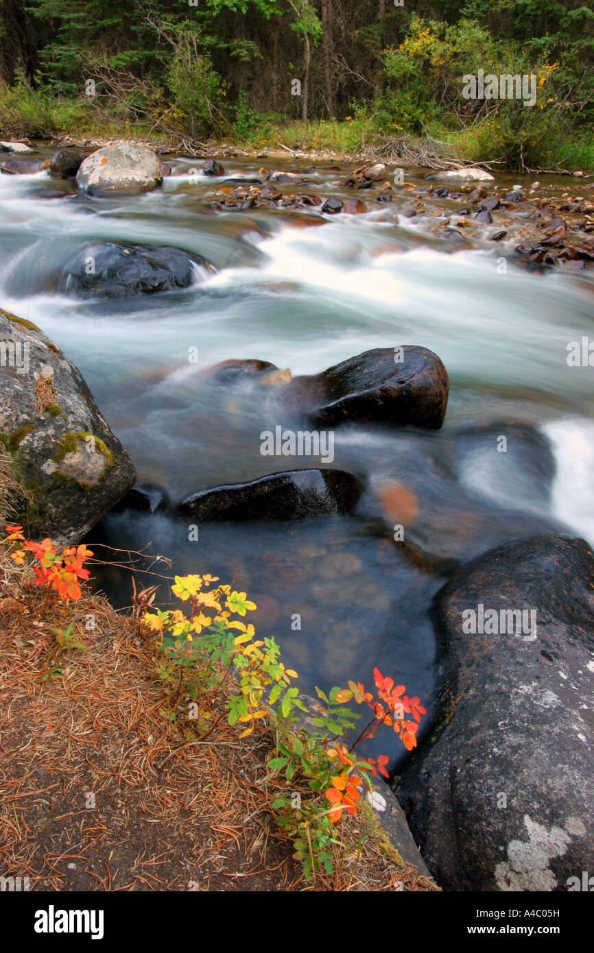 clarks fork of the yellowstone river, shoshone national forest, wyoming Stock Photo
