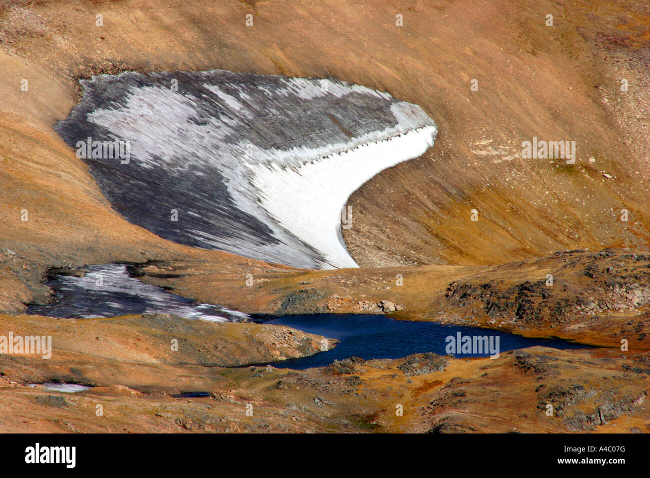 snow fields on the beartooth plateau, wyoming Stock Photo