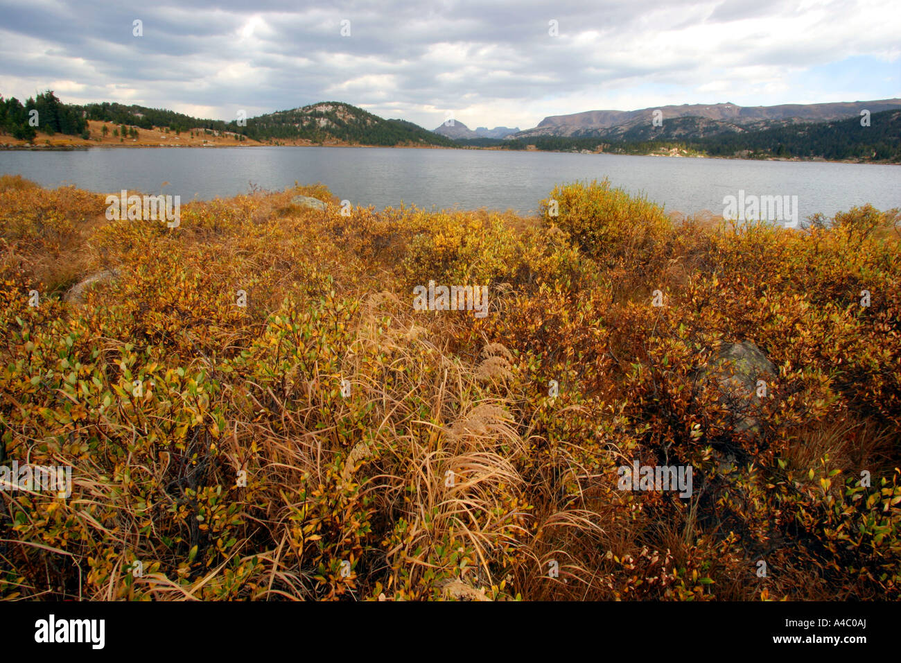 island lake off the beartooth highway, shoshone national forest, wyoming Stock Photo