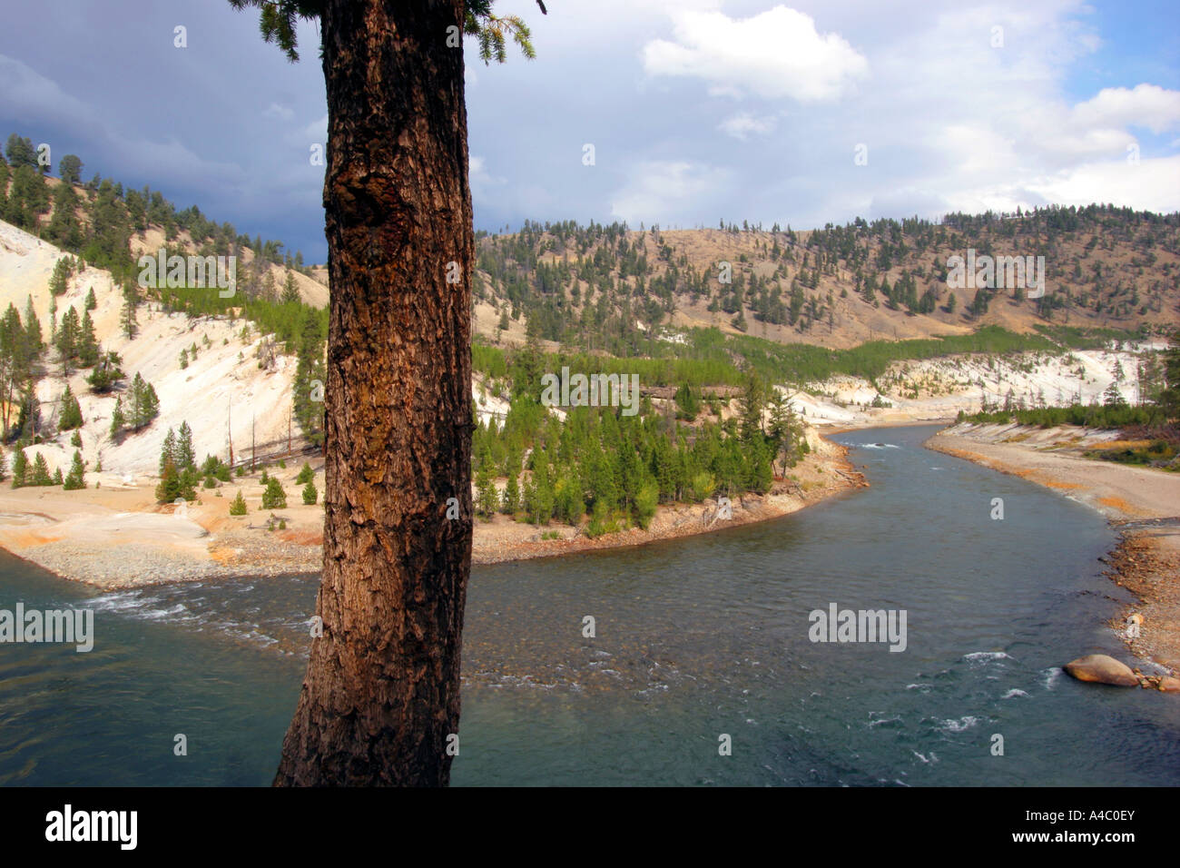 yellowstone river, yellowstone national park, wyoming Stock Photo