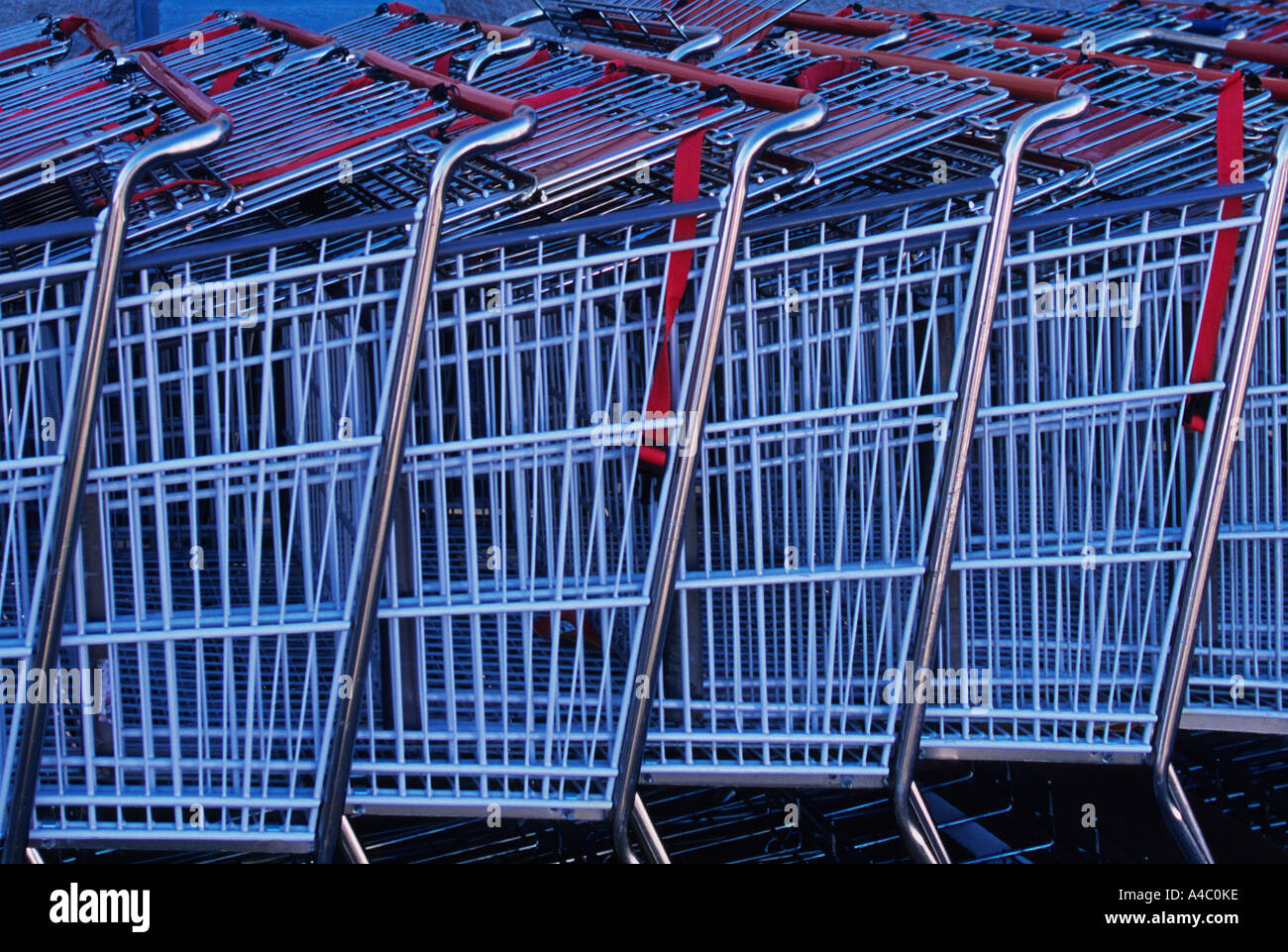 Shopping Carts Lined Up Stock Photo Alamy