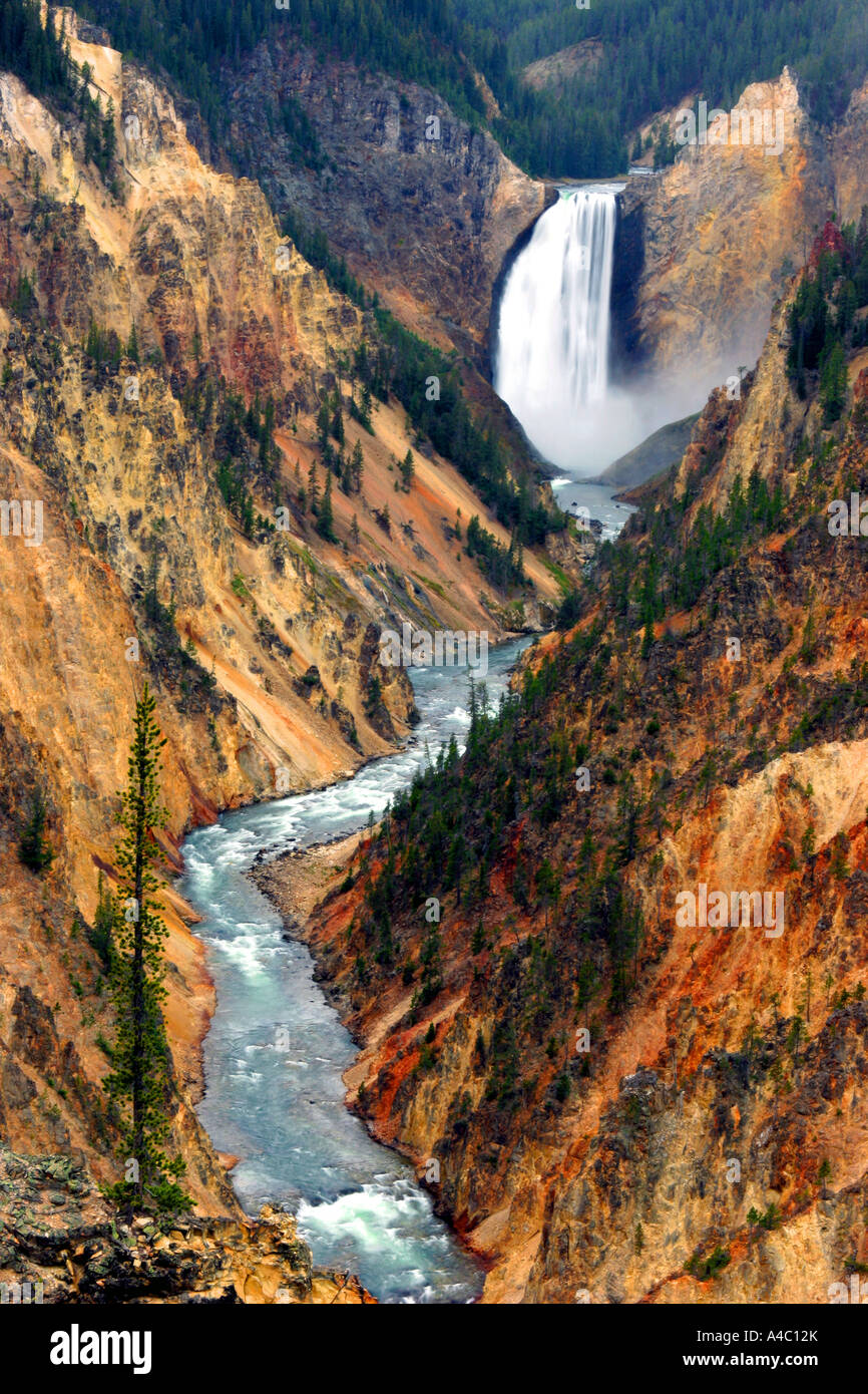 lower yellowstone falls, yellowstone national park, wyoming Stock Photo
