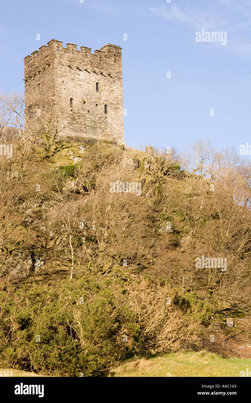 Dolwyddelan Castle Stock Photo