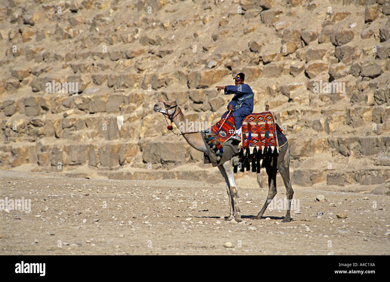 Camel rider with the pyramid of Khufu behind Giza Egypt Stock Photo - Alamy