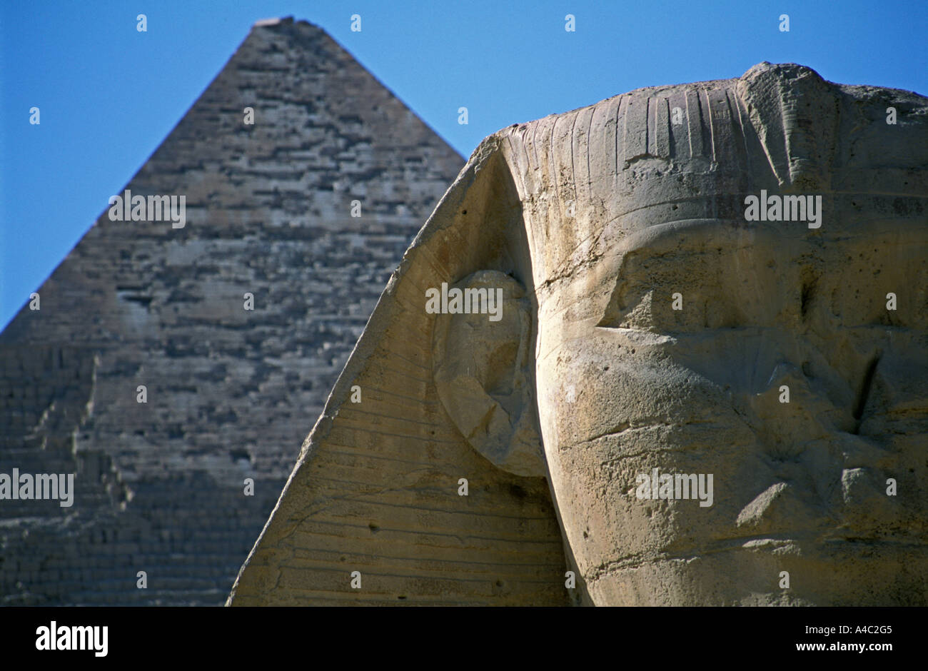 Detail of the great Sphinx with Khafre pyramid behind Giza Egypt Stock ...