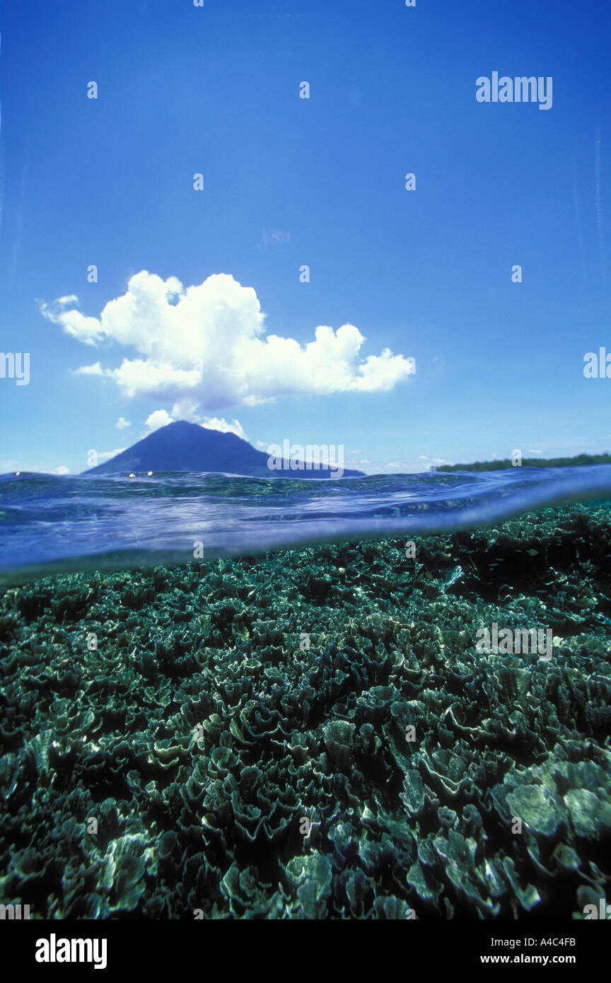 Under View Over under view hi-res stock photography and images - Alamy