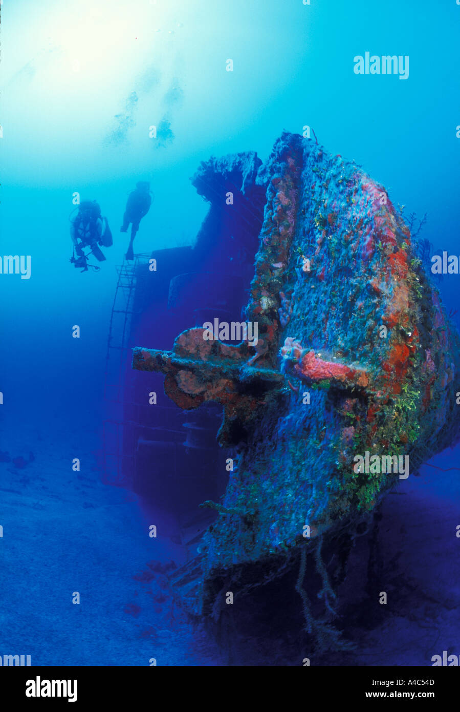 SCUBA DIVERS ON THE JADO TRADER IN GUANAJA BAY ISLANDS HONDURAS Stock