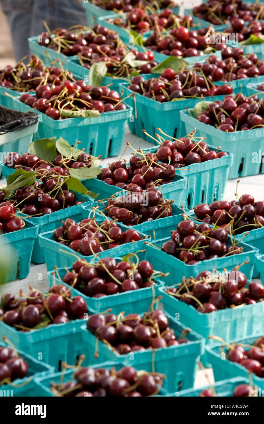 Boxed Cherries Stock Photo