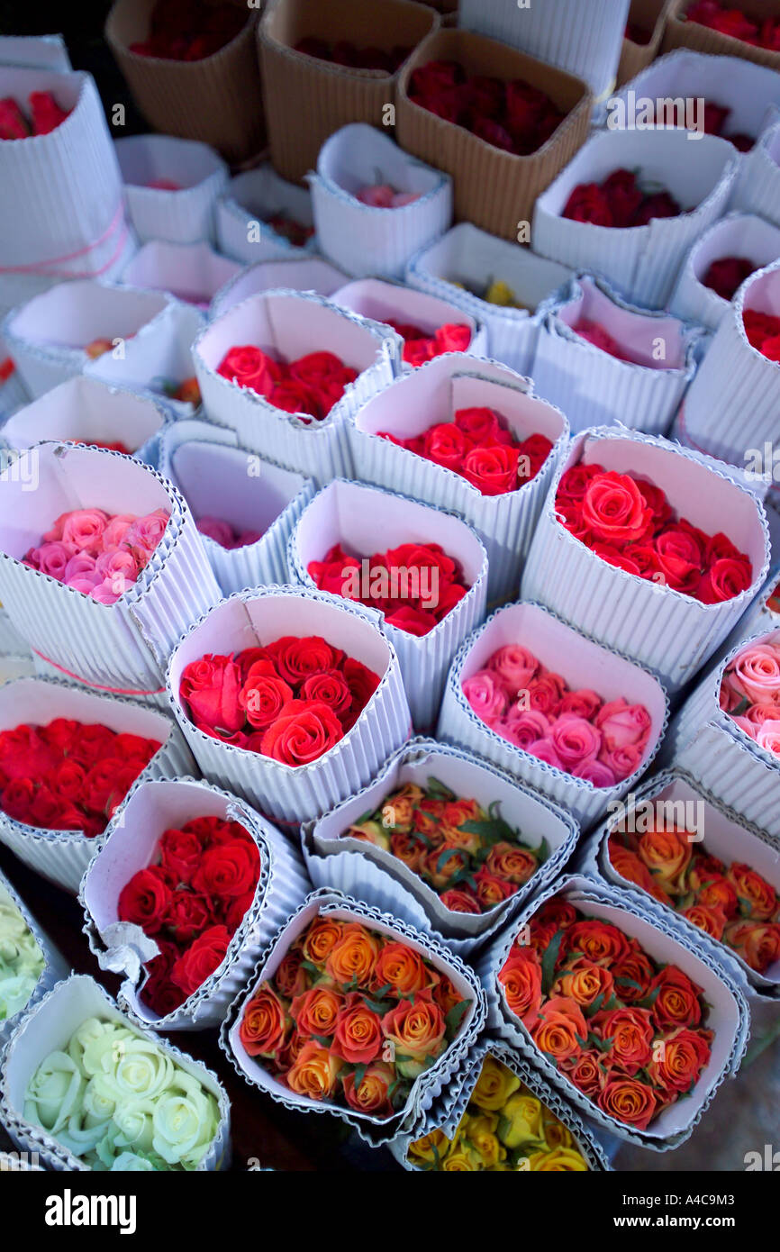 Flowers packaged for export, Russell Market, Bangalore, India Stock ...