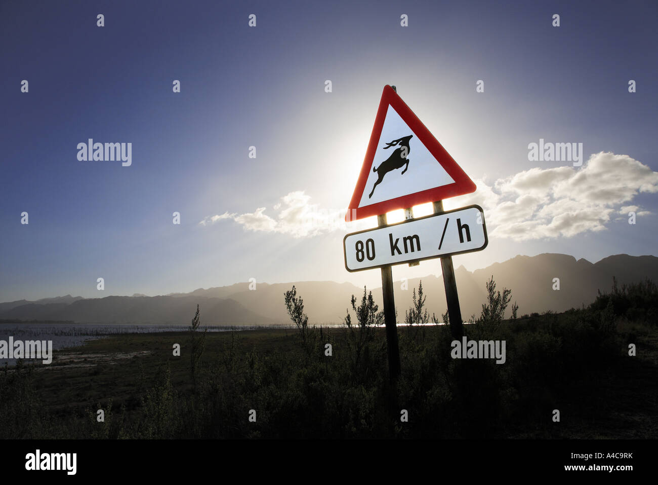 antelope road warning sign Stock Photo