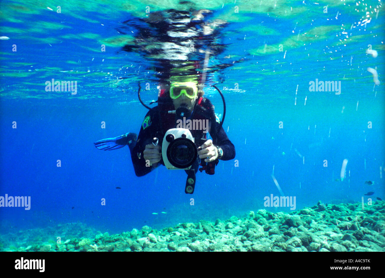 Underwater cameraman diving in The Red Sea, Egypt Stock Photo Alamy