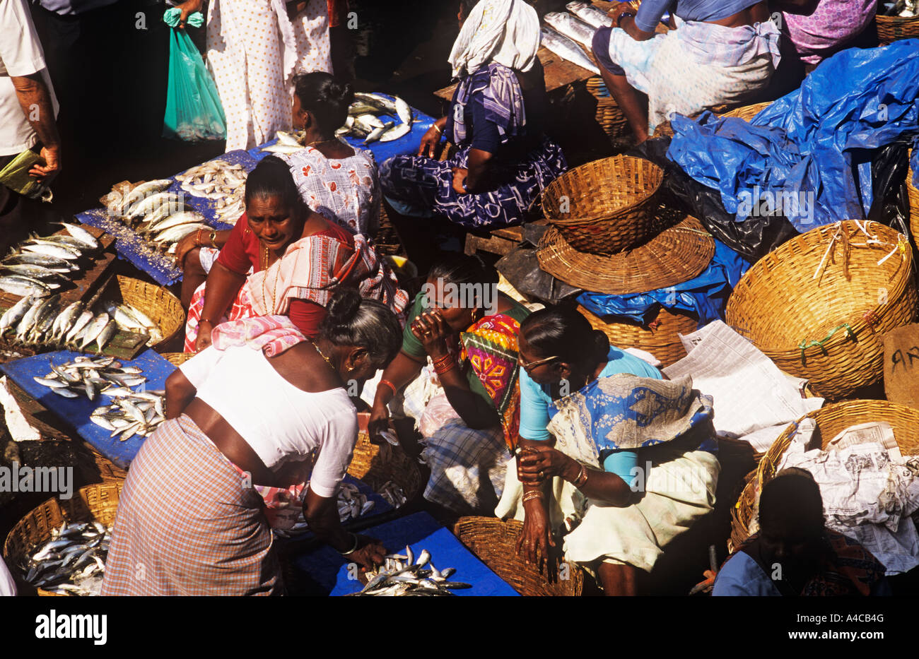 Fish Market Margao Goa India Stock Photo