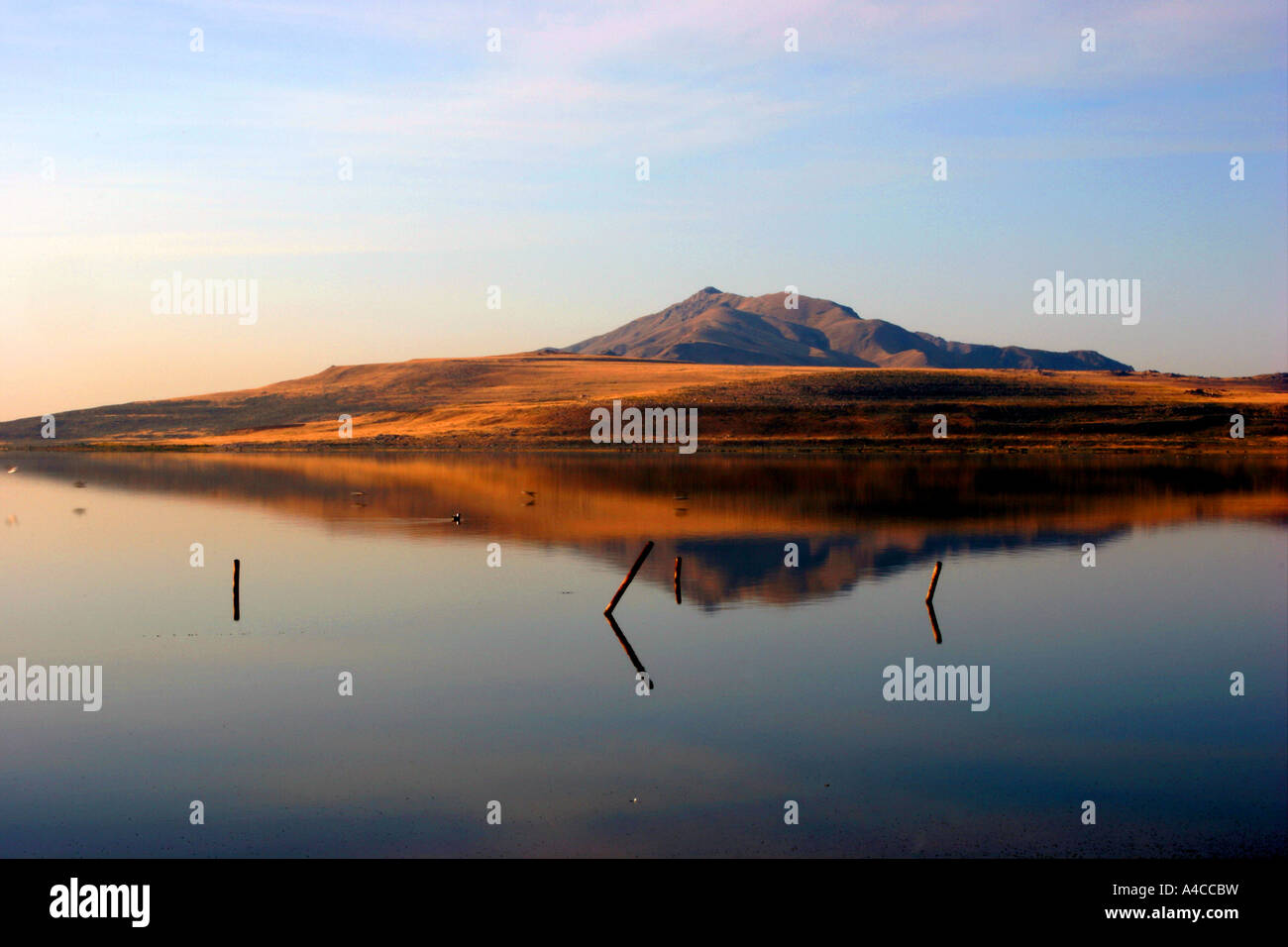 antelope island reflection, great salt lake, utah Stock Photo