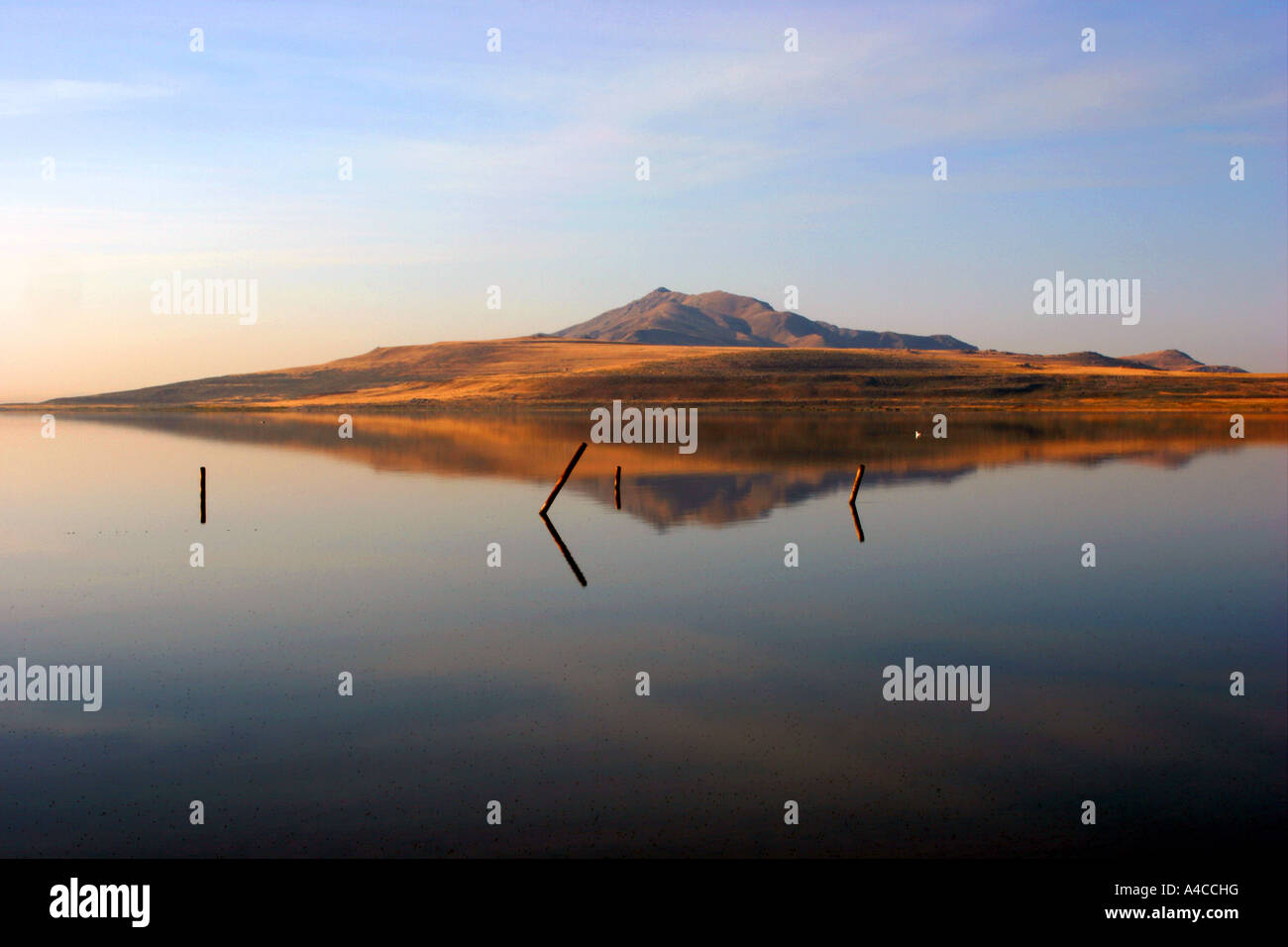antelope island reflection, great salt lake, utah Stock Photo