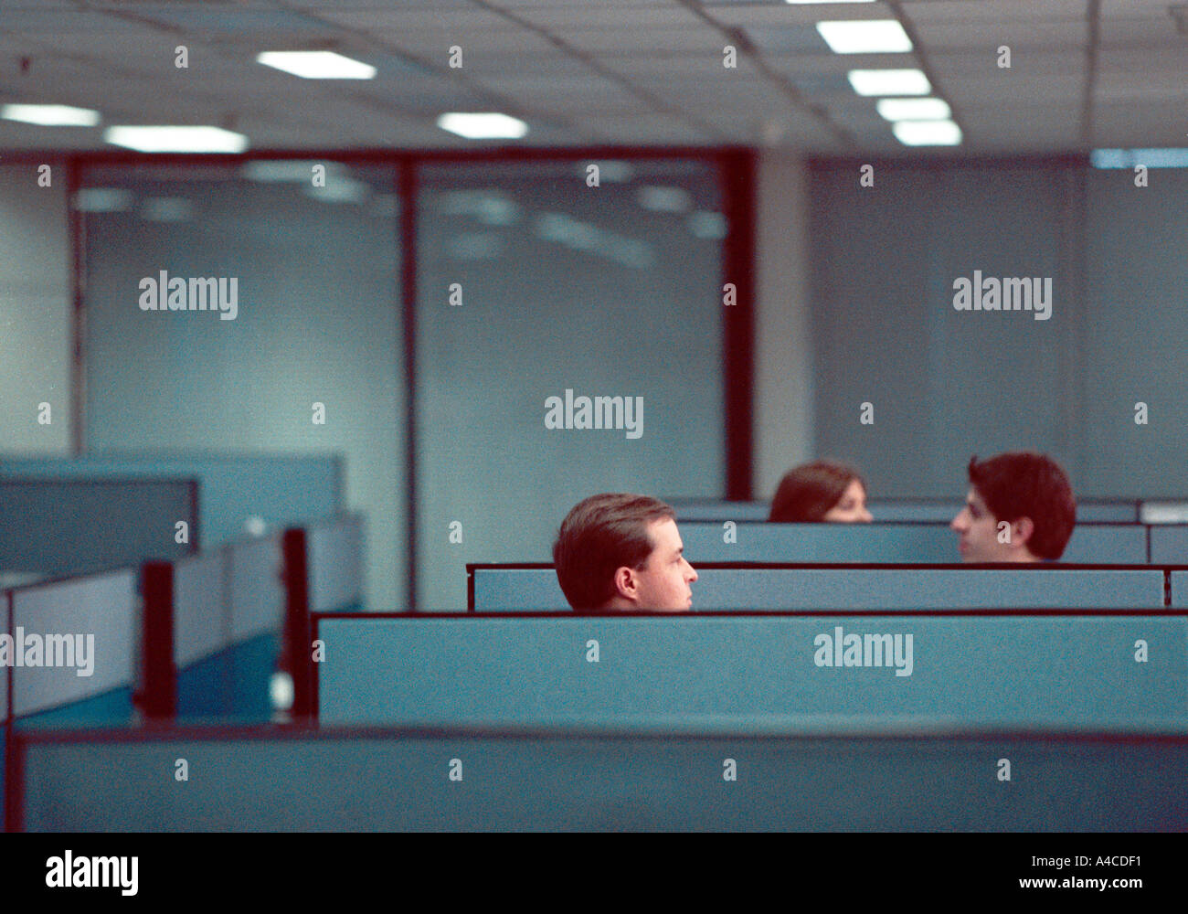 Three heads appear above office cubicle walls Stock Photo