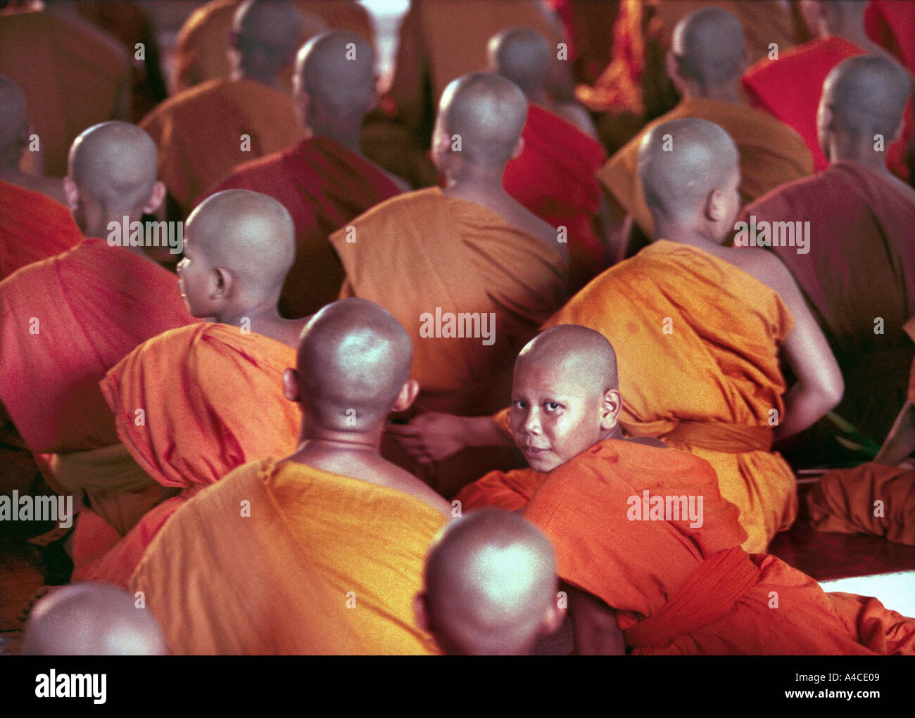 A group of monks in southern Thailand Stock Photo