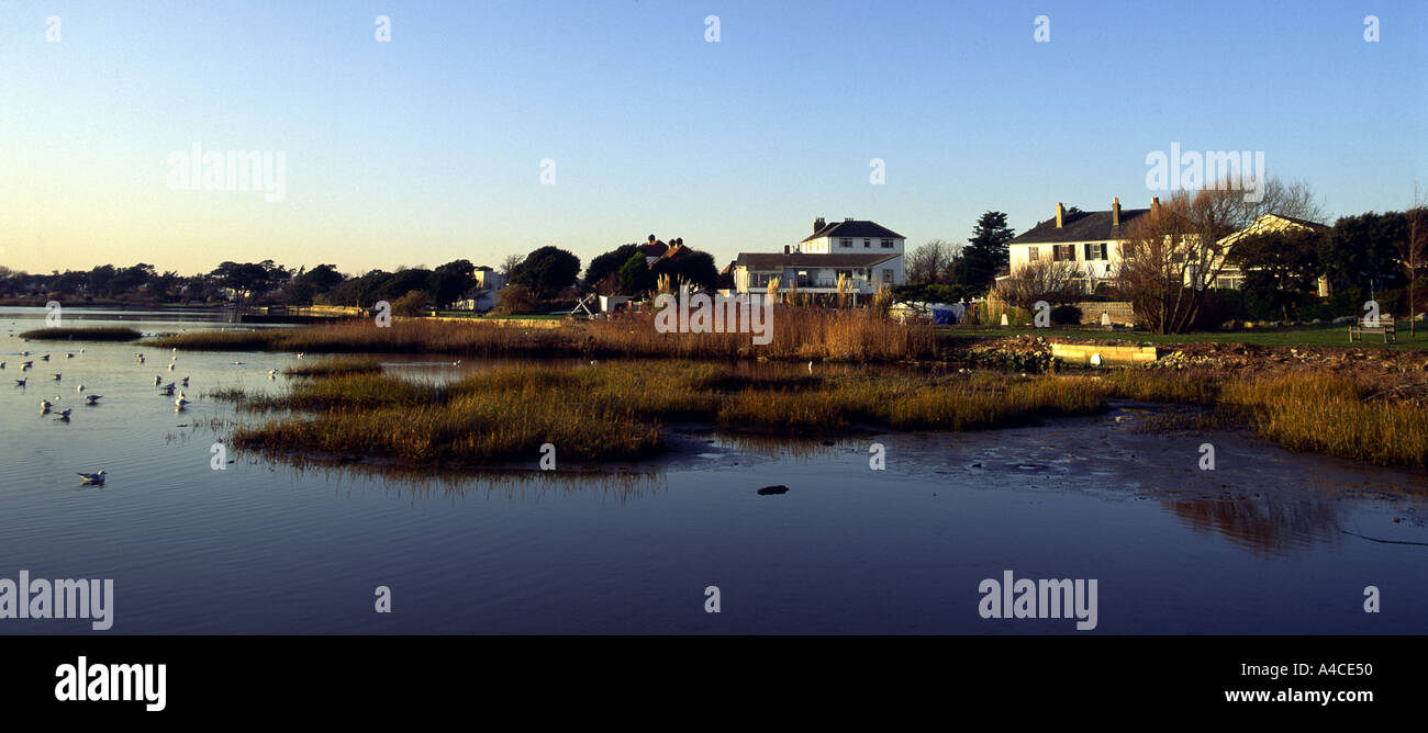 Harbour waterside residences threatened by rising sea levels
