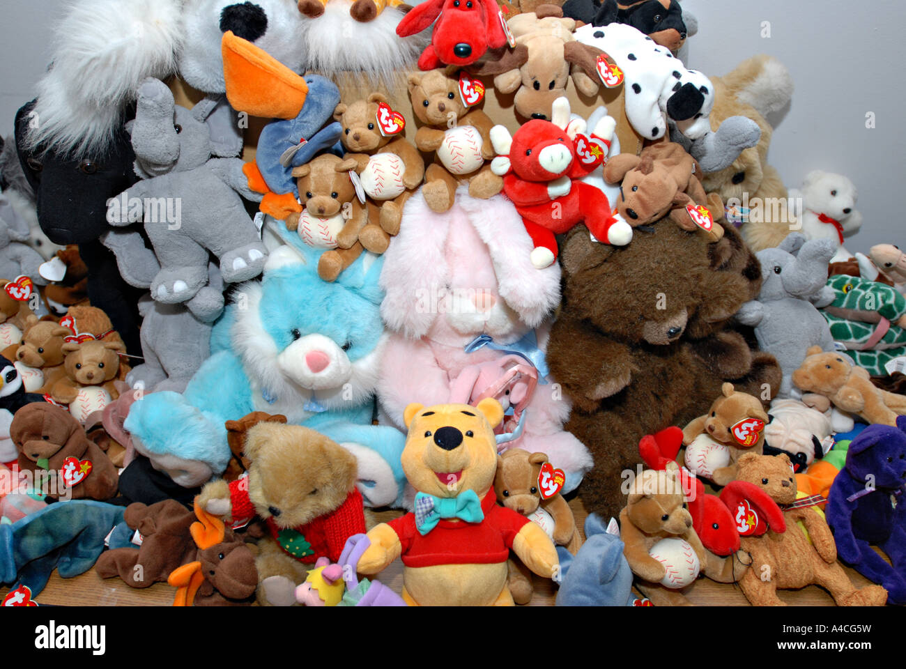 Piles Of Stuffed Animals Collected for Needy Children during Charity