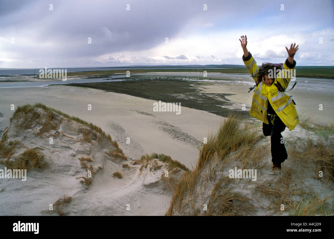 Artist Rosey Priestman jumping off sand dune at Cata Sands on Sanday Orkney Scotland Stock Photo