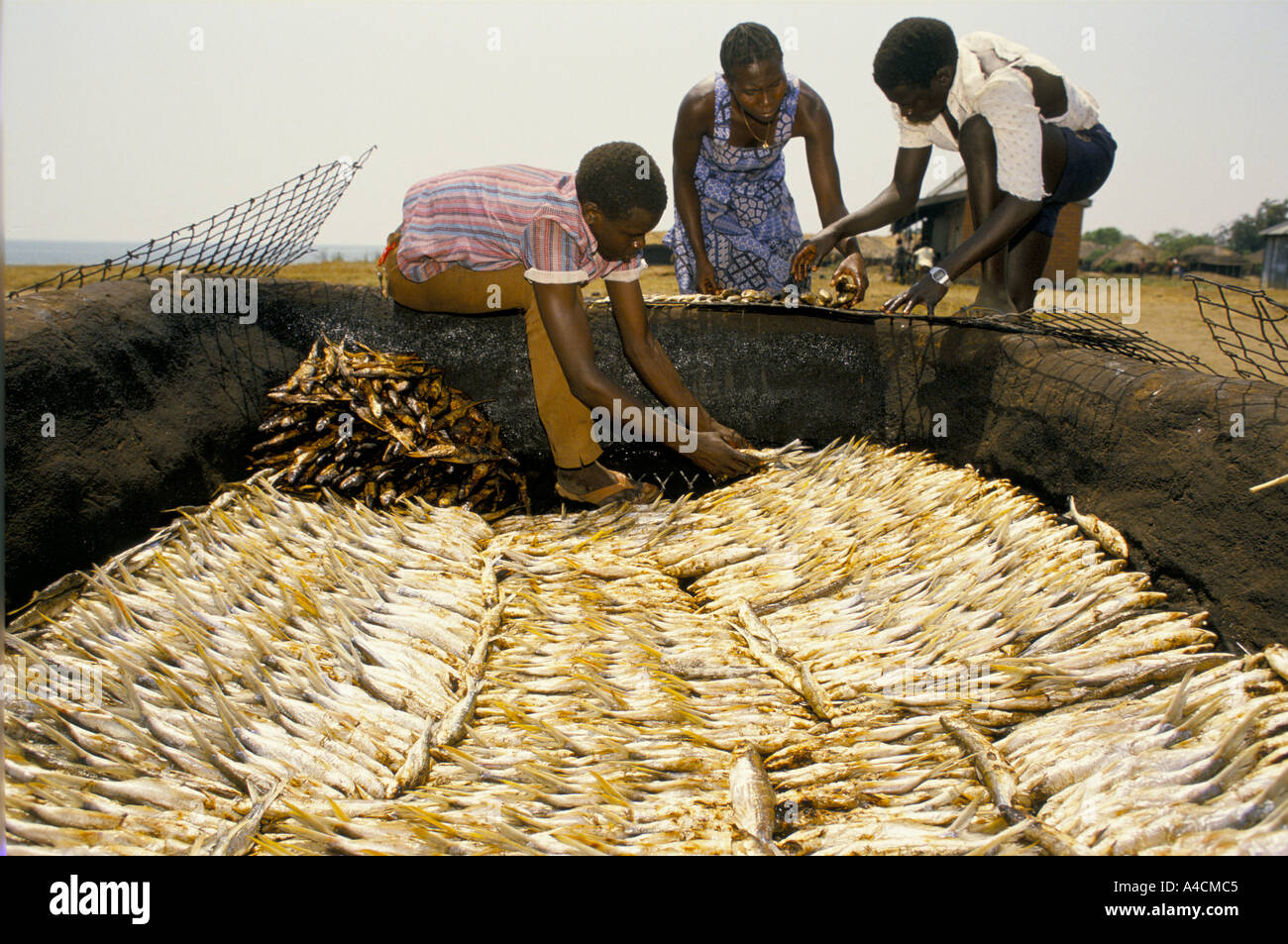 Fishermen at Pakwach village on Lake Victoria salt the fish they have caught and leave them to dry in the sun. Stock Photo