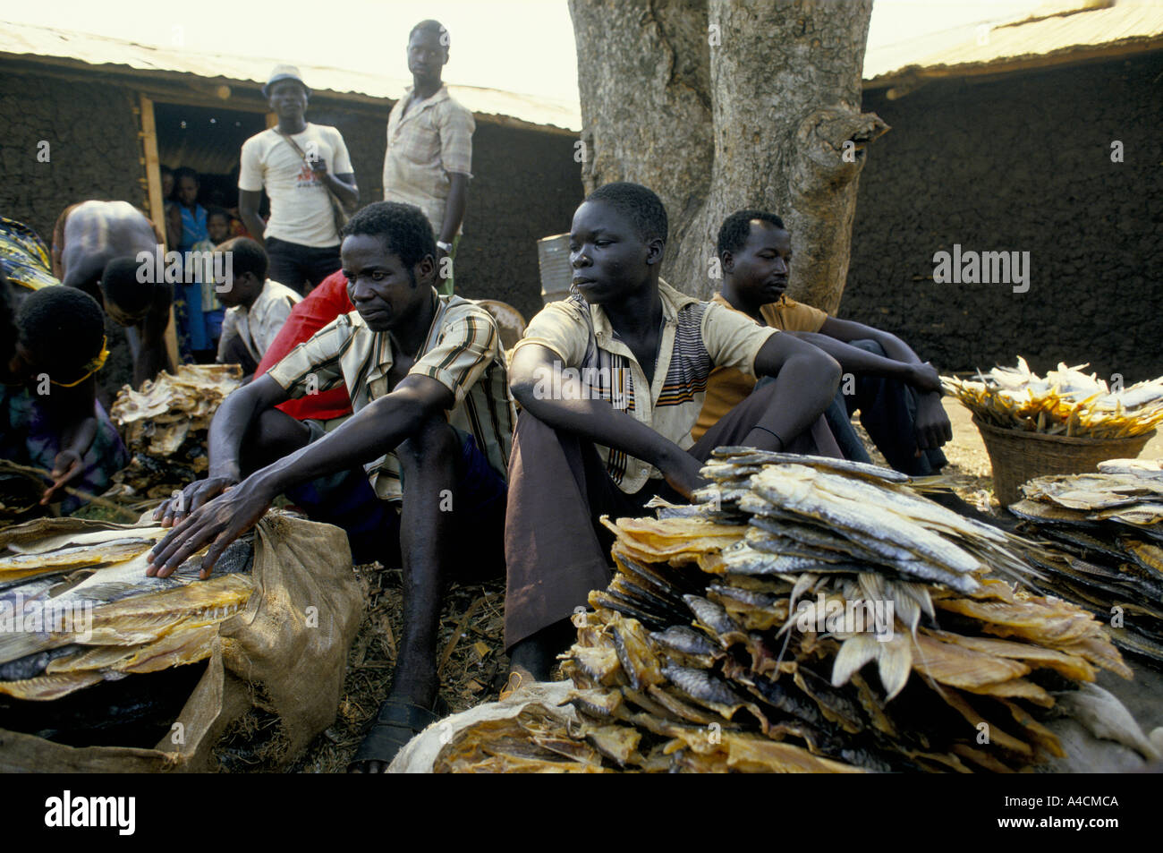 uganda industry fishing selling dried fish in market in Pakwach, near