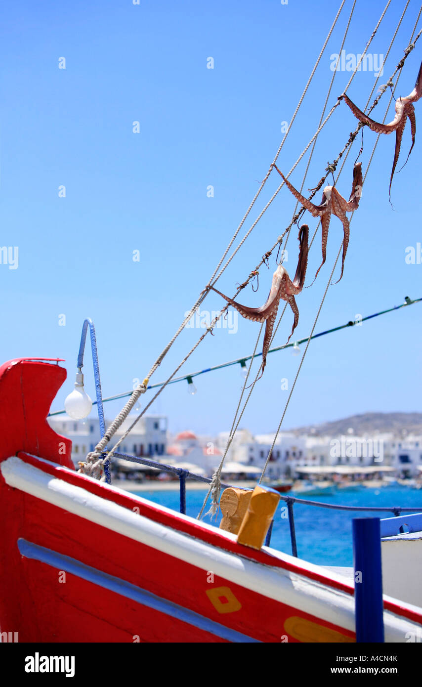 Octopus hanging to dry on boat Stock Photo