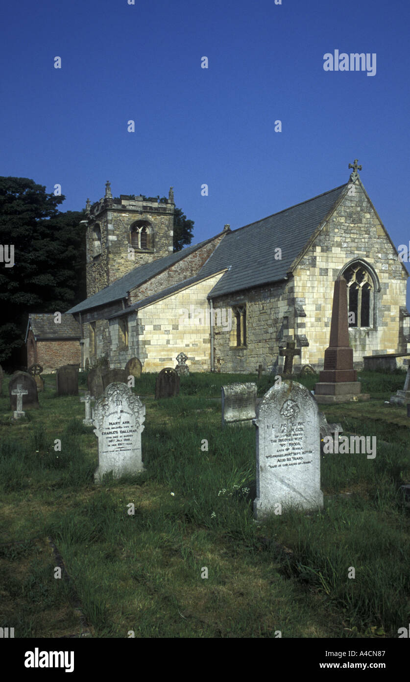 Peter rowley portrait hires stock photography and images Alamy