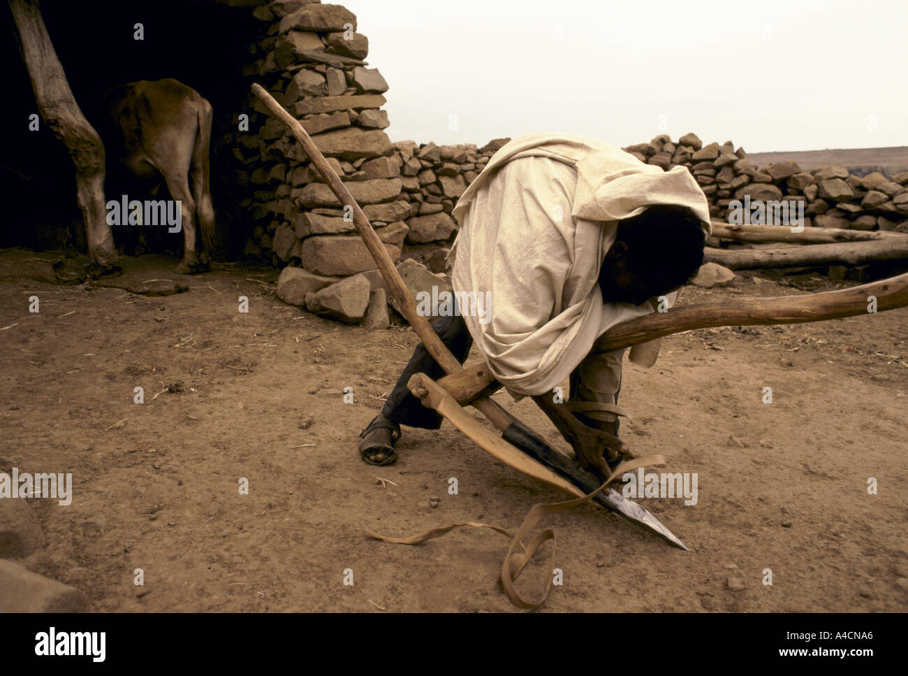 'GEBREMARIAM'S FAMILY', A FAMILY LIVING IN A TWO ROOM HUT IN THE HIGHLANDS OF ERITREA. Stock Photo
