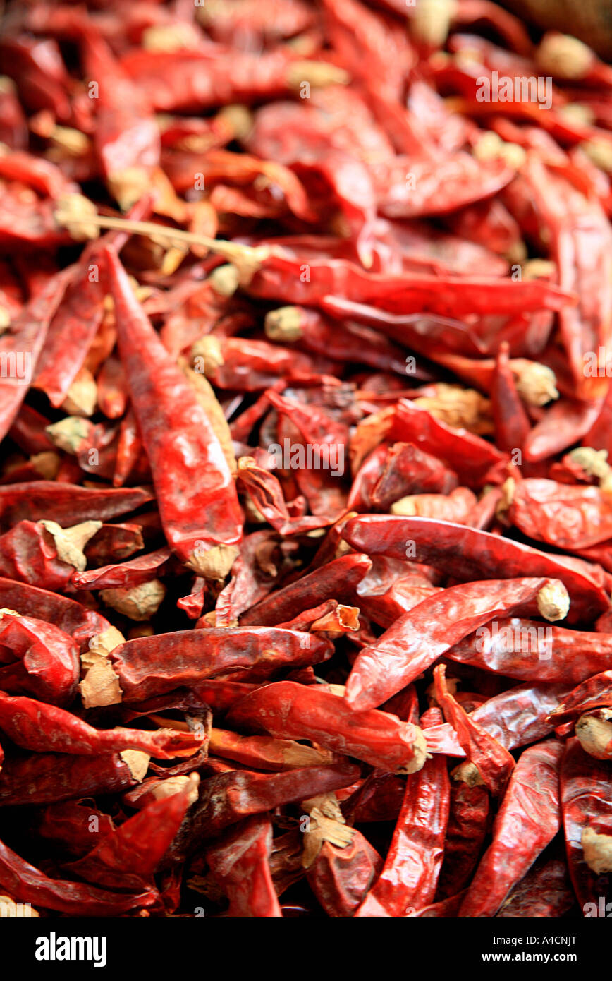 Dried red peppers Stock Photo Alamy